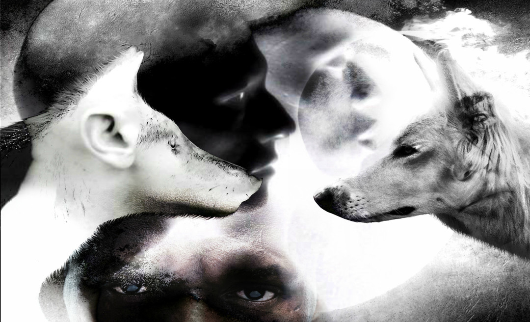 Website Design Artist