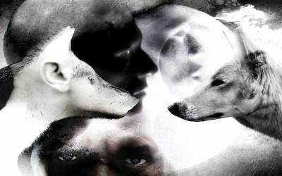 Website Design for Artist