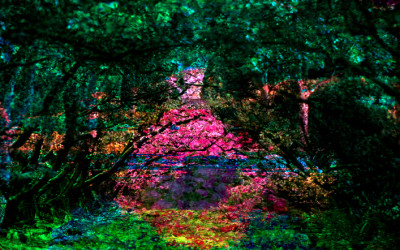 Garden, Flower and Path Art