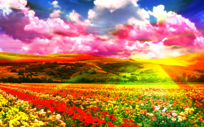 Wild Flowers, Impressionism