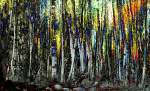 Impressionism Forest Woods