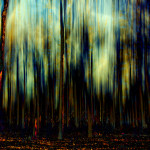 Impressionism Landscape Forest Trees