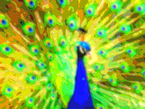 Animal Portrait Art Peacock