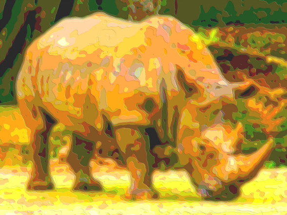 Animal Portrait Art Rhinoceros