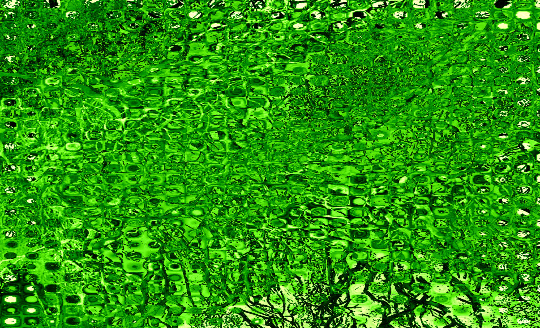 Artists Artwork Abstract Art