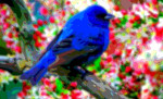 Blue Bird Animal Art