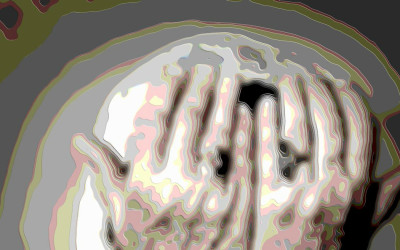 Digital Art, Cutout Portrait Art