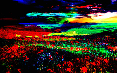 Digital Landscape Artist