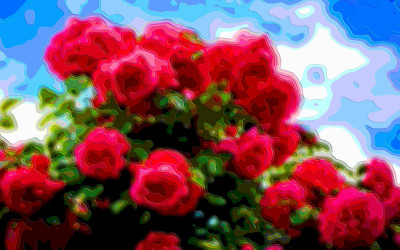 Art Prints Roses
