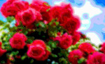 Flower Art Sale Red Roses