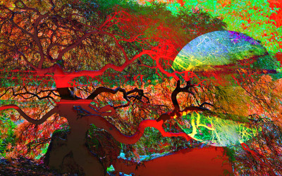 Abstract Landscape Art