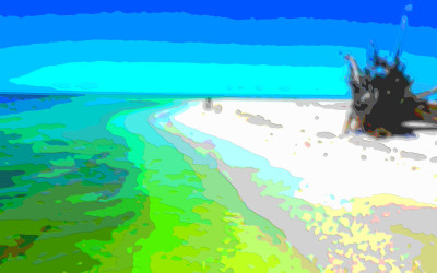 Art in Parks Florida State Parks