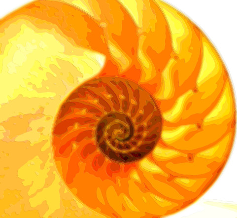 Golden Spiral Layer Art