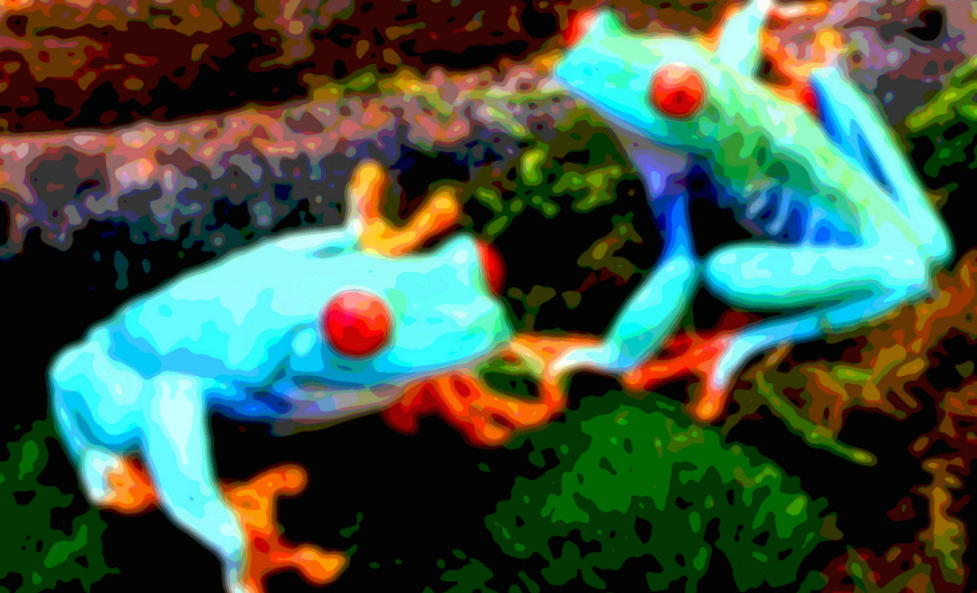 Animal Art Frogs
