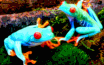 Animal Art Frogs