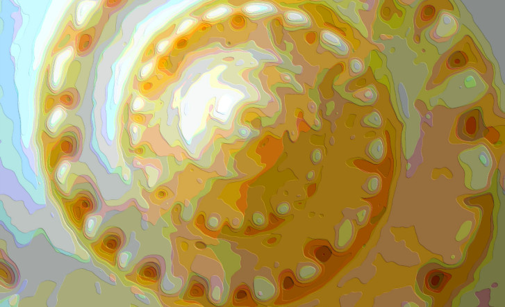 Nautilus Seashell Art