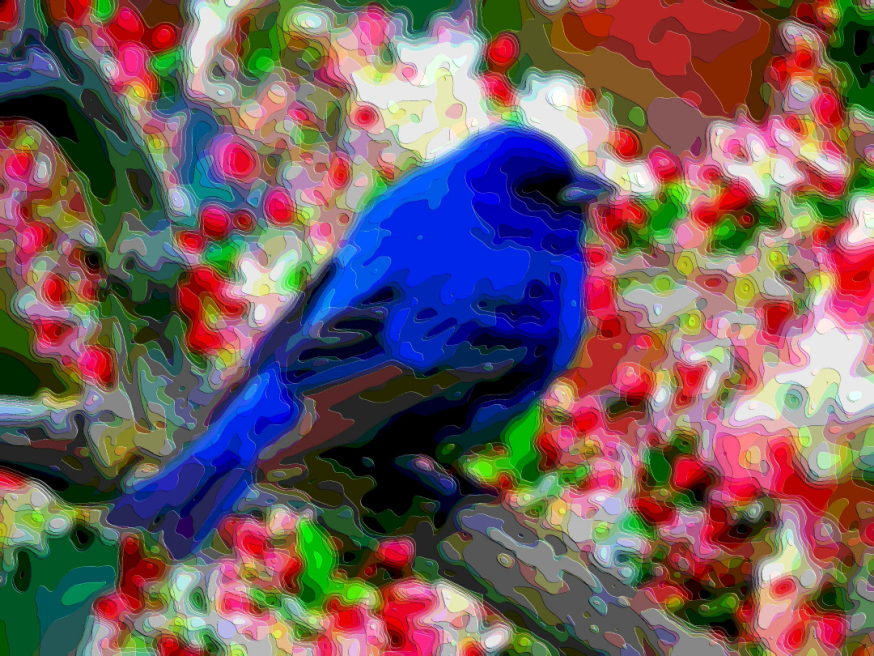 Bird Portrait Art Blue Jay