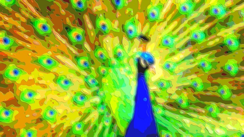 Bird Portrait Art Peacock