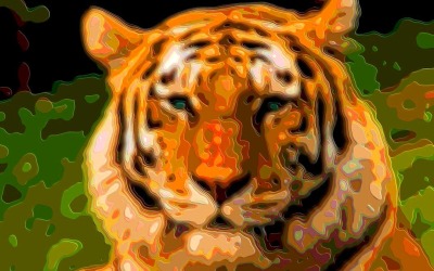 Animal Art Cats and Dogs