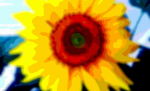 Flower Art Sunflower