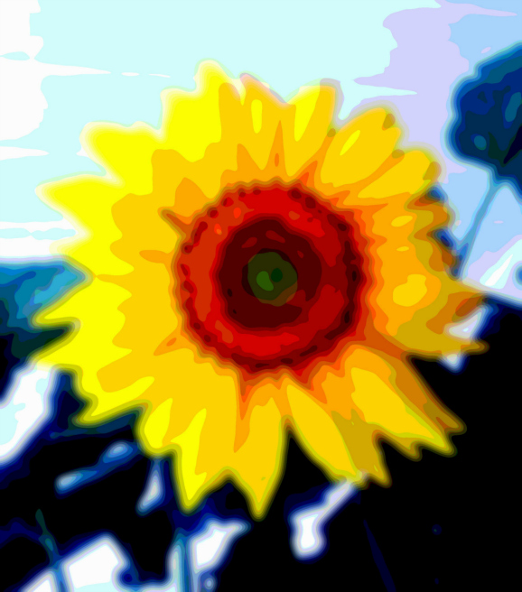 Flower Art Sunflower